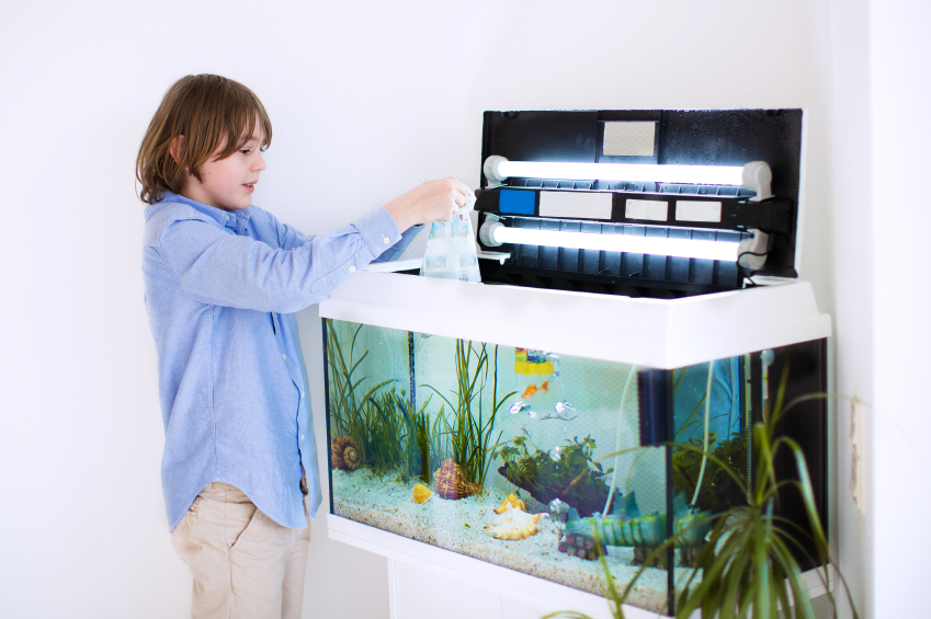 Tropical fish tank cheap water treatment