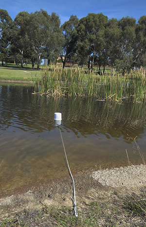 Easy to Use - Large Floating Pail and load tethered to shore